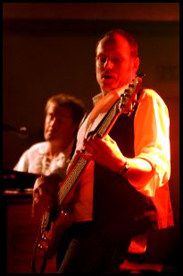 Rough Diamond, 2011 (jl)